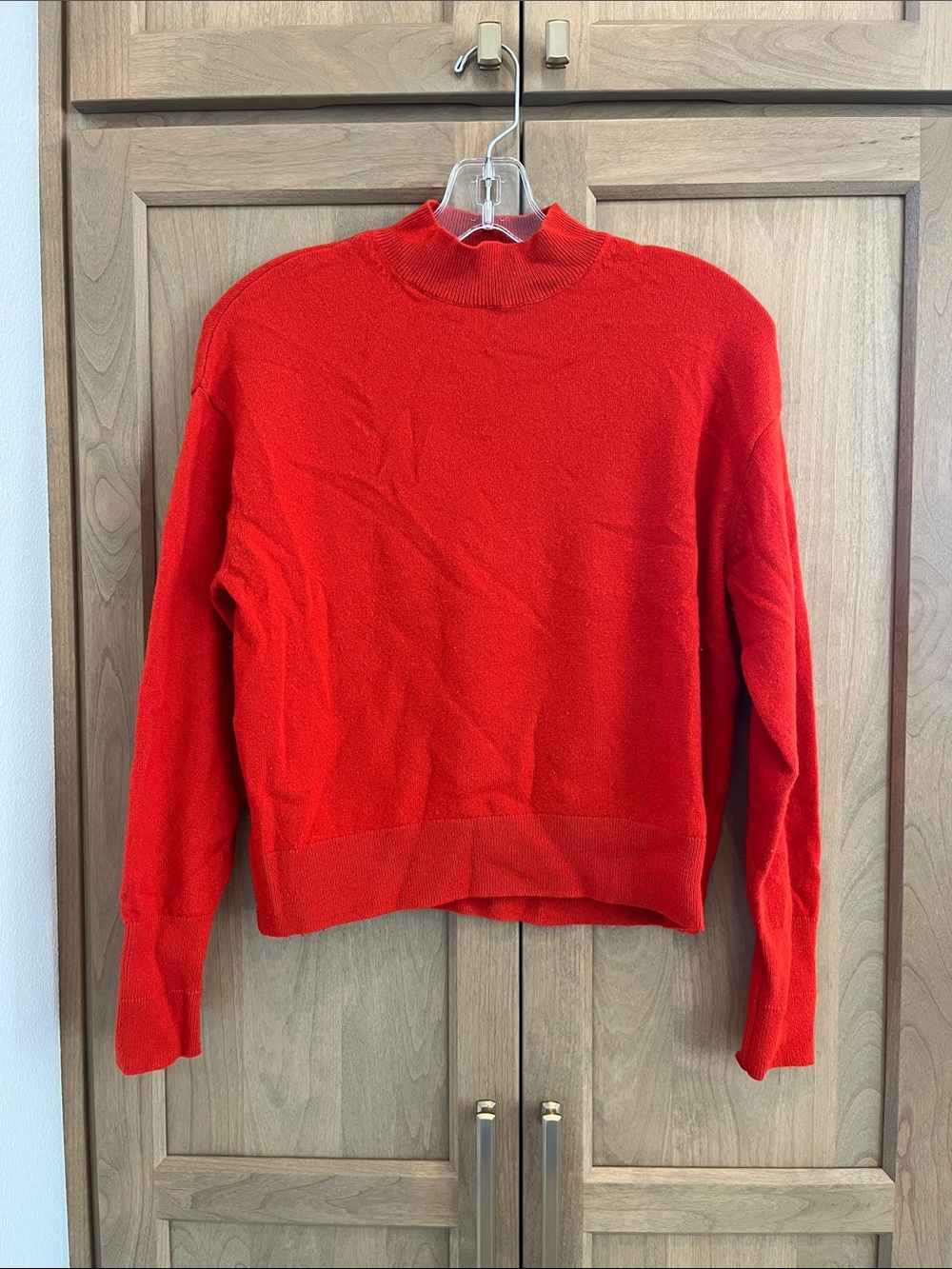 Everlane Cashmere Crop Mockneck Sweater